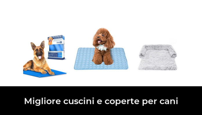 Migliore Cuscini E Coperte Per Cani Nel Secondo Gli Esperti