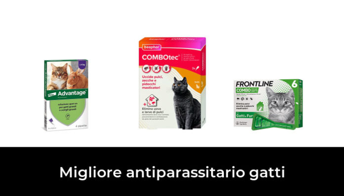 Migliore Antiparassitario Gatti Nel Secondo Gli Esperti