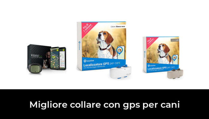 Migliore Collare Con Gps Per Cani Nel Secondo Gli Esperti