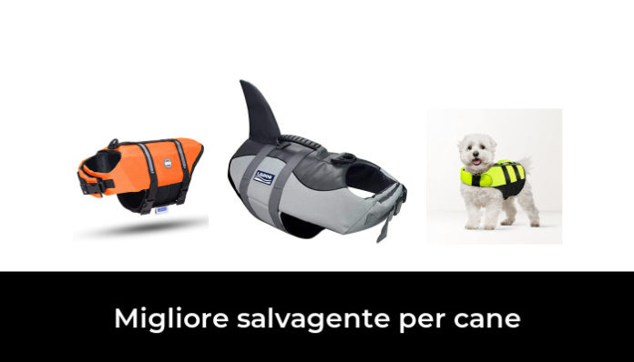 Migliore Salvagente Per Cane Nel Secondo Gli Esperti