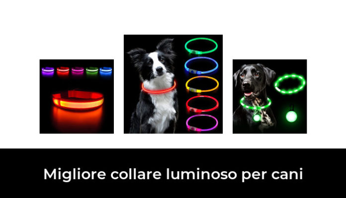 Migliore Collare Luminoso Per Cani Nel Secondo Gli Esperti